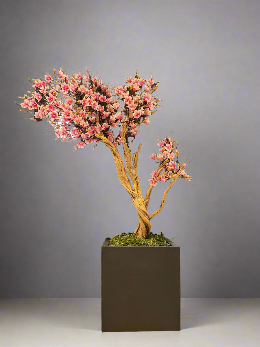Magnolia tree with planter