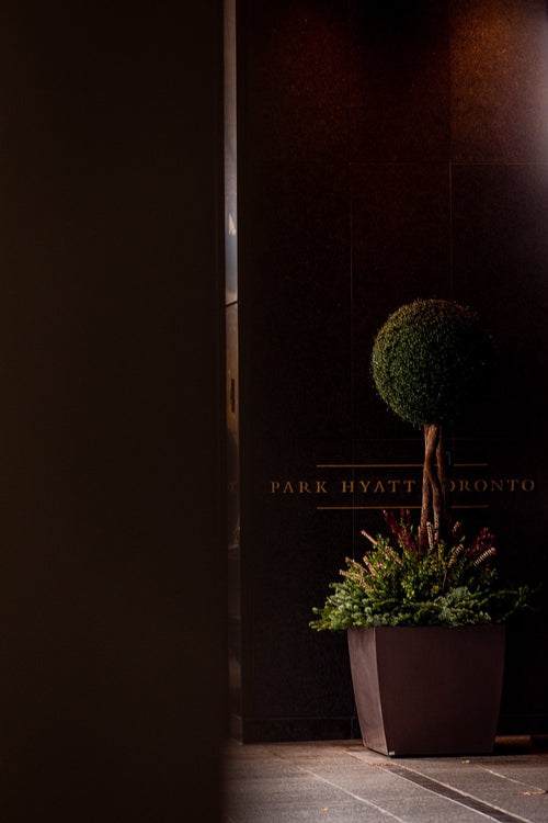 Artificial Boxwood Ball Tree
