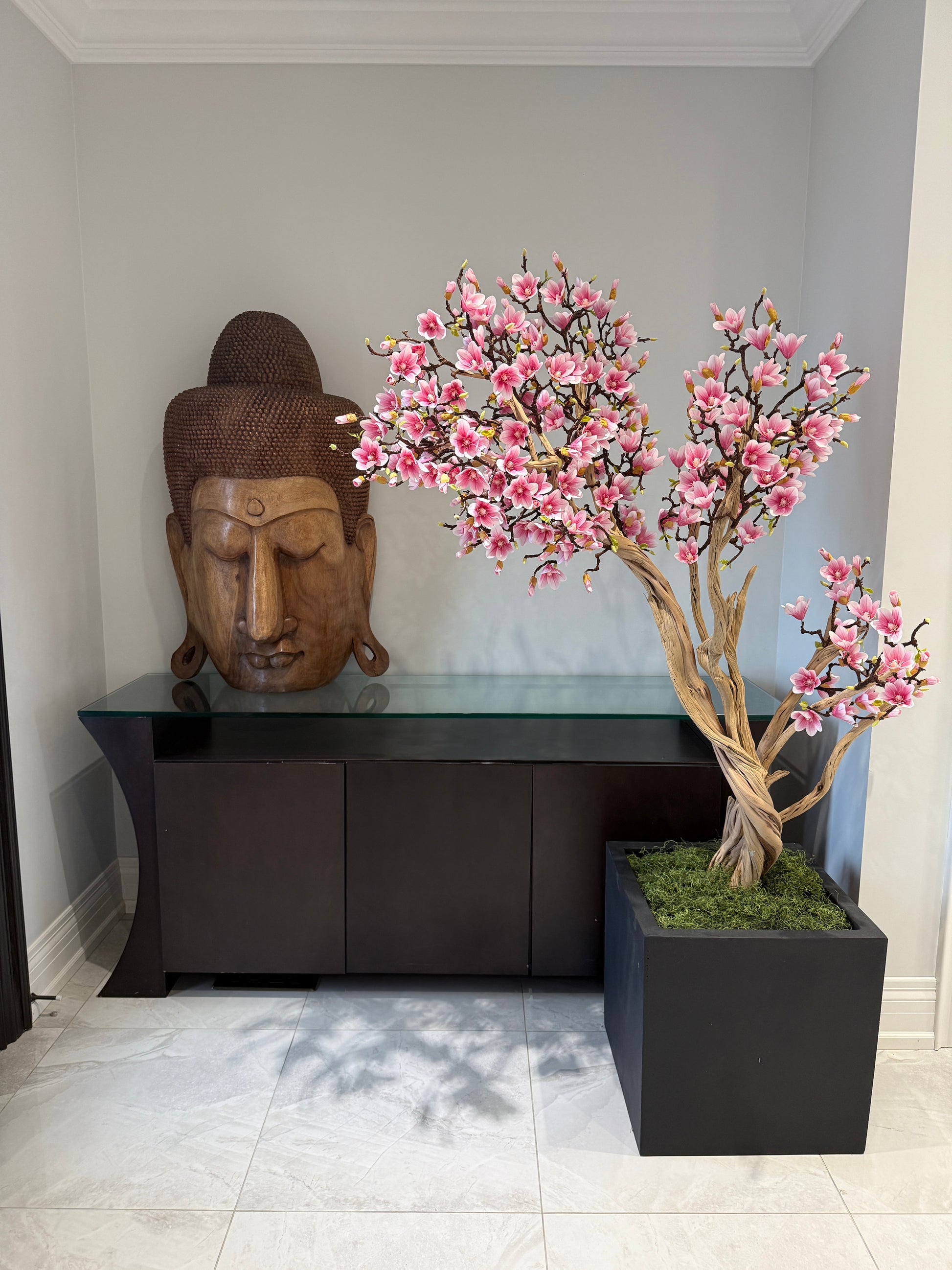 Magnolia tree with planter