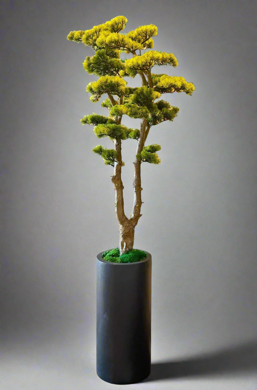 Luxury Bonsai Planter with Fiberstone Pot