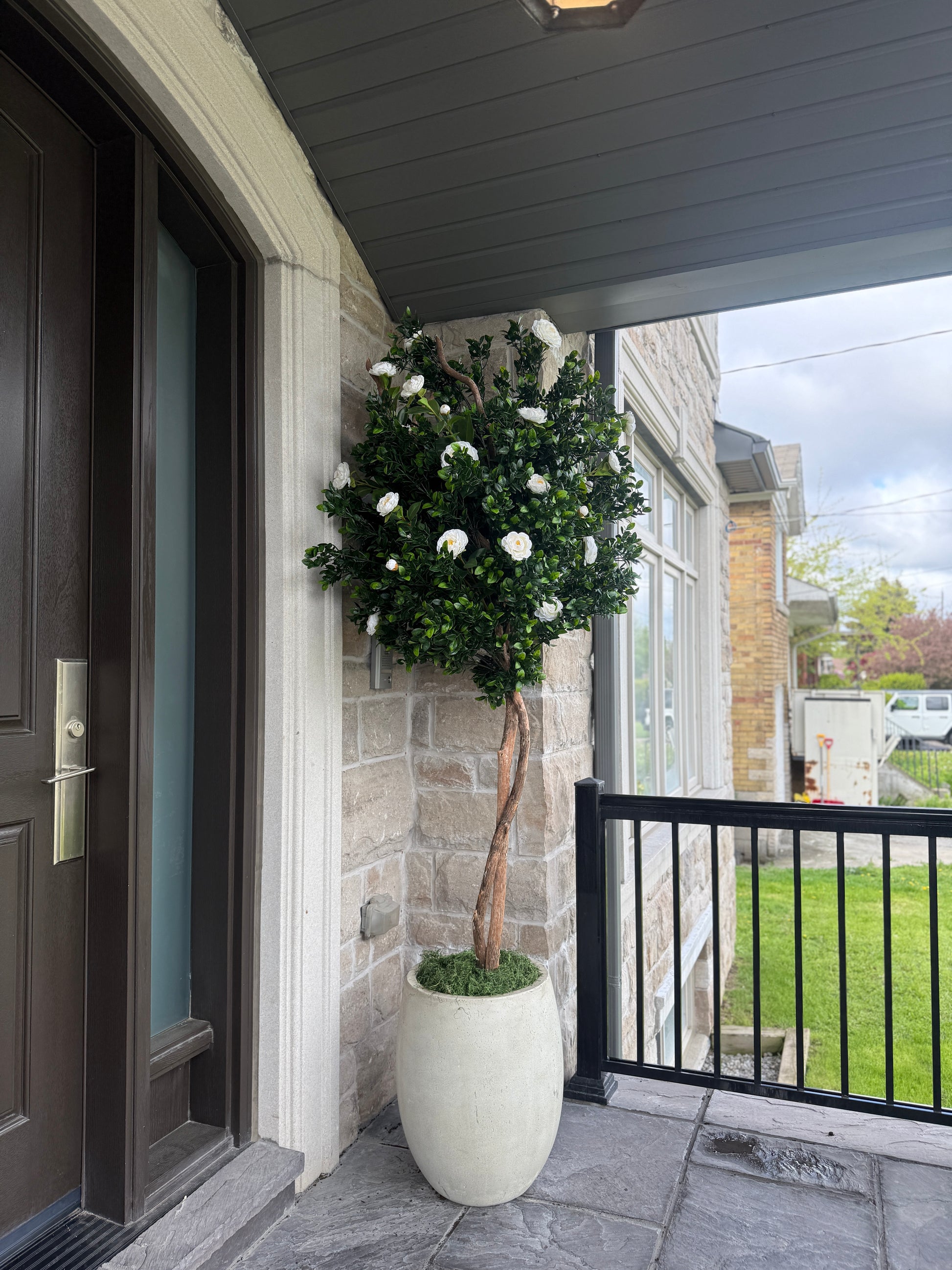 Gardenia Tree+ Planter