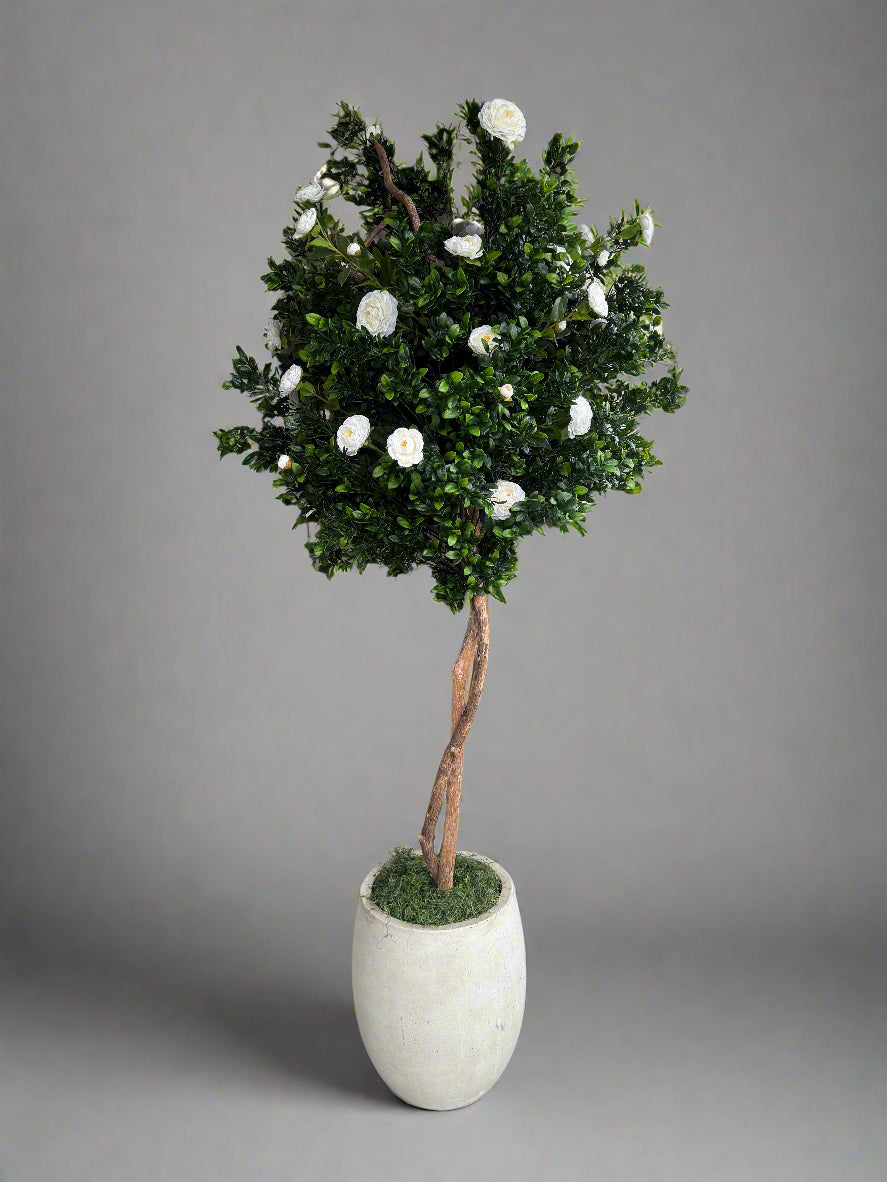 Gardenia Tree+ Planter